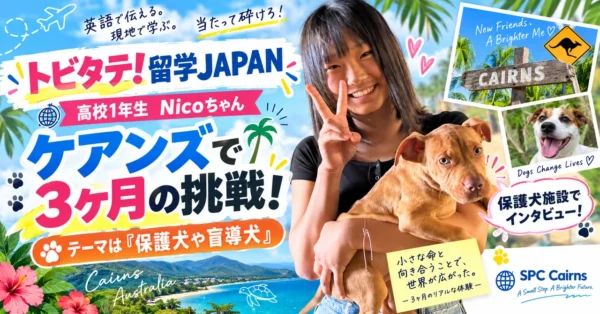 記事画像